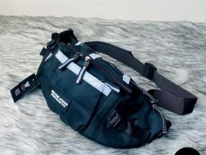 স্টাইলিশ মাল্টি-ফাংশনাল ওয়েস্ট ব্যাগ / ক্রসবডি ব্যাগ